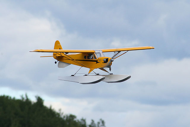 His cub on Burns Lake.